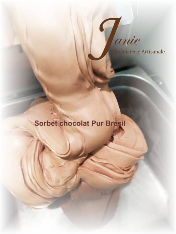Sorbet Chocolat Pur Bresil Janie Chocolaterie Artisanale