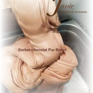 Sorbet Chocolat Pur Bresil Janie Chocolaterie Artisanale